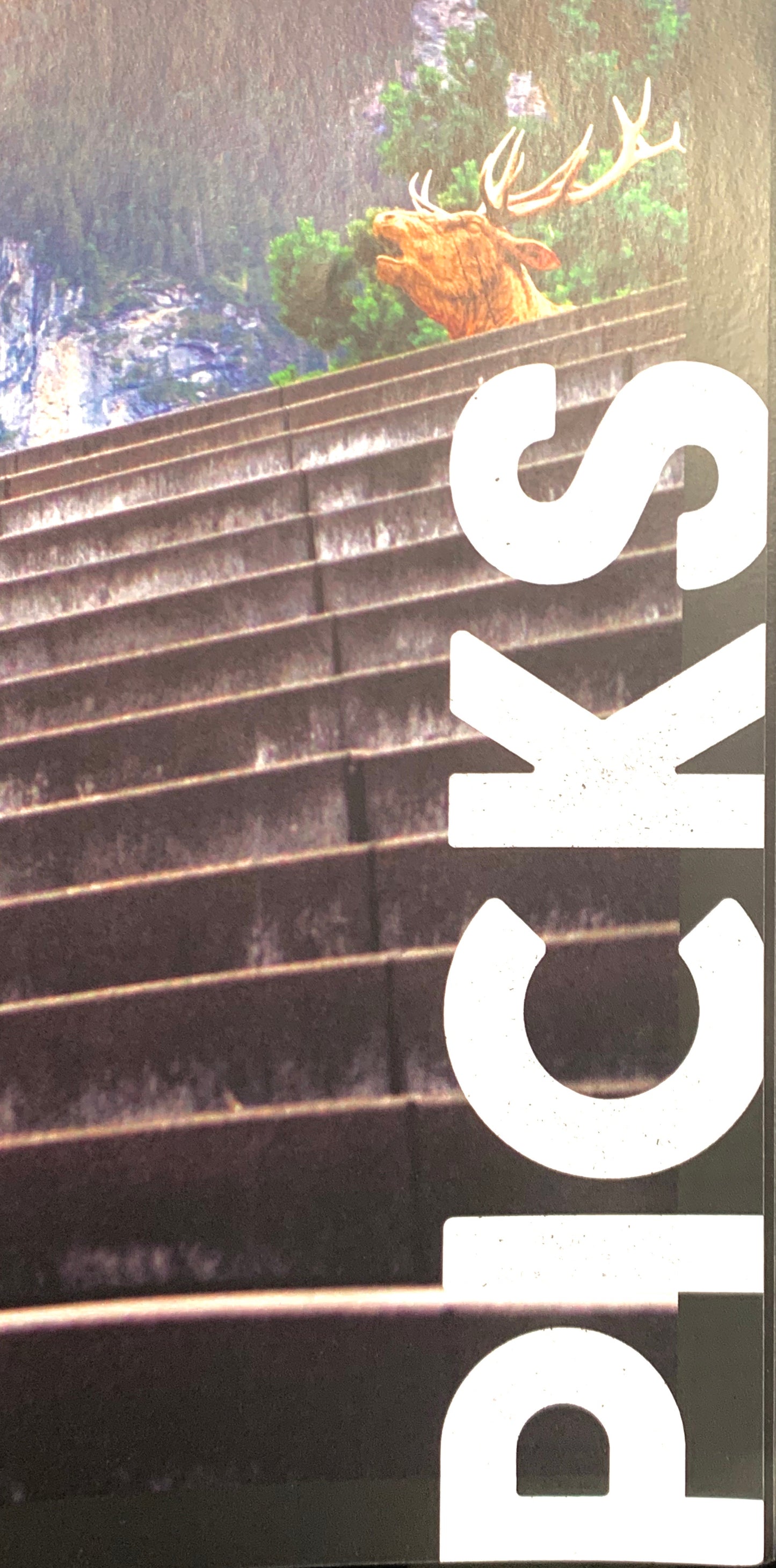 ONE Magazine #25 - Oak City Inline Skate Shop