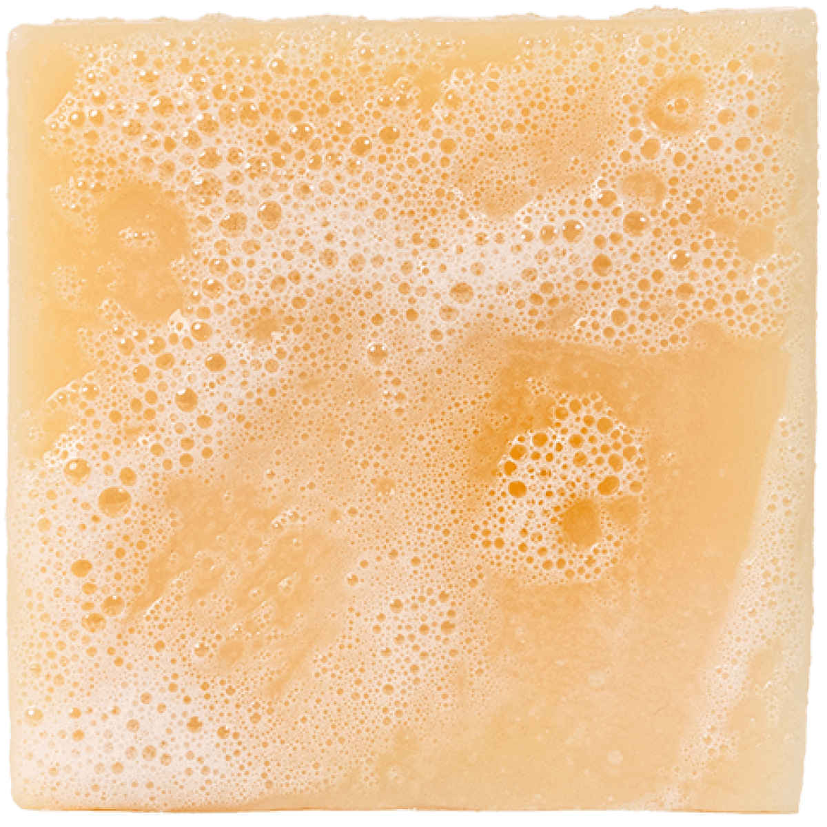 Dr Squatch Soap -  Alpine Sage